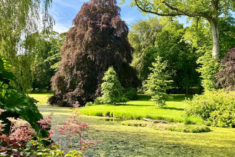 Castle Varagh Hotel | Westmeath | 4