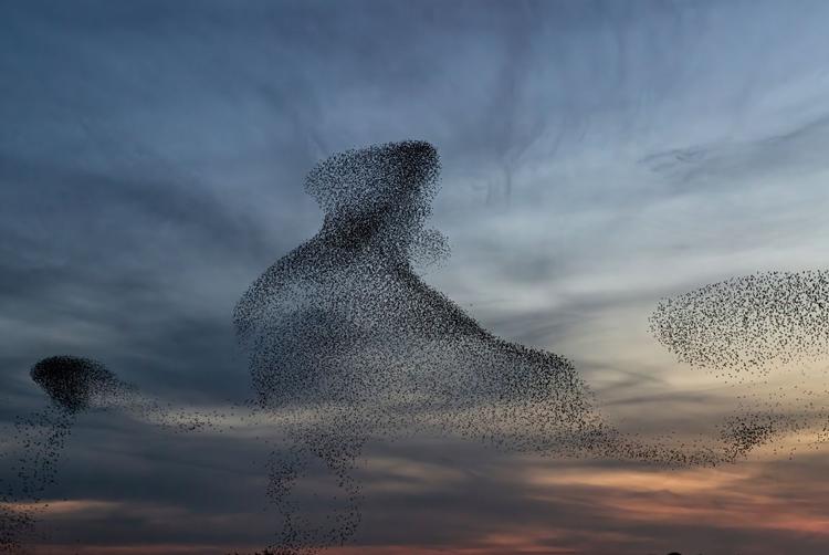 Castle Varagh Hotel | Westmeath | 1